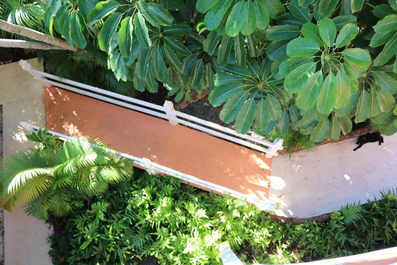 Villa Maui Garden Oasis Lāhainā Exterior foto