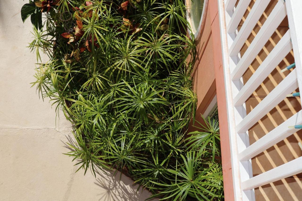 Villa Maui Garden Oasis Lāhainā Exterior foto