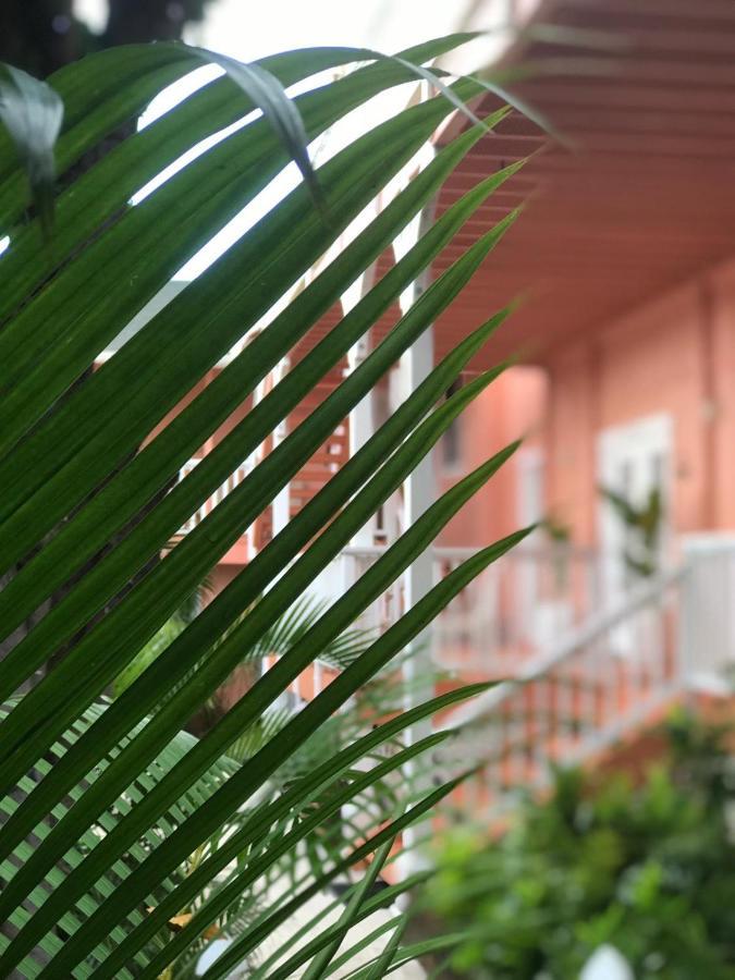 Villa Maui Garden Oasis Lāhainā Exterior foto